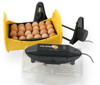 Contest: Automatic Coop Door Closer Image